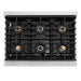 ZLINE 36 in. Paramount Gas Rangetop with 6 Burner DuoPro™ Cooktop in Stainless Steel (PSRT36)