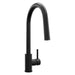 ZLINE Palisades Pull Down Single Handle Kitchen Faucet in Matte Black (RBCN1-KF-MB)