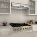 ZLINE 621-36 range hood