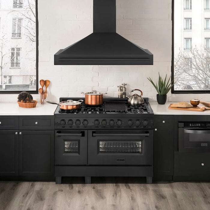 ZLINE BS655-48-BS range hood