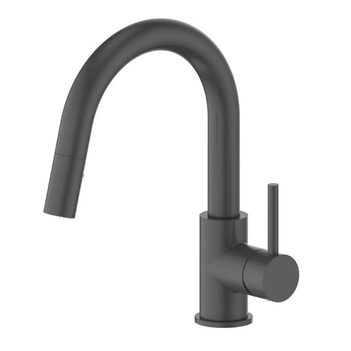 ZLINE DNT-KF-MB kitchen faucet