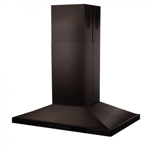 ZLINE BSGL2IN-42 range hood