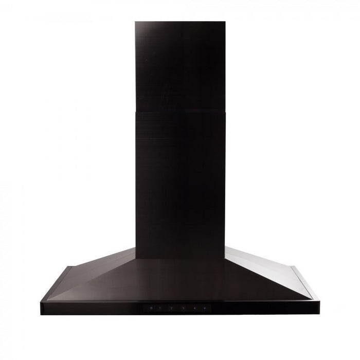 ZLINE BSGL2IN-48 range hood