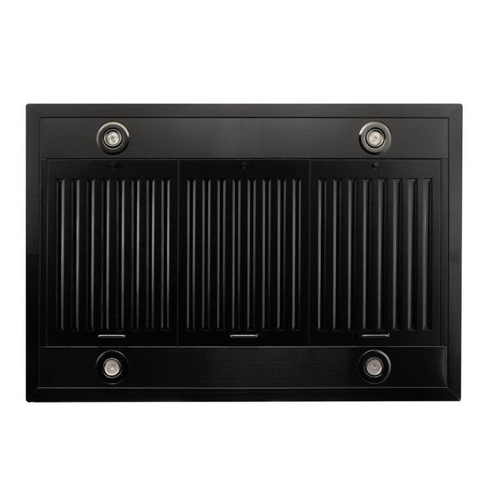 ZLINE BSGL2IN-42 range hood