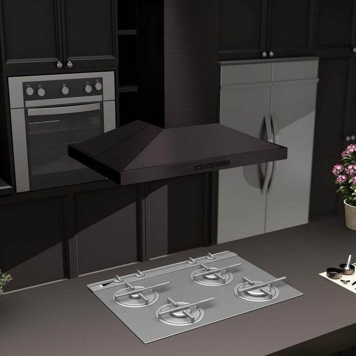 ZLINE BSGL2IN-48 range hood