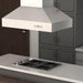 ZLINE 697I-304-48 range hood