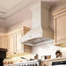 ZLINE 321TT-36 range hood