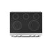 Thor Kitchen 4-Piece Appliance Package - 36-Inch Electric Range, Wall Mount Range Hood, Refrigerator with Water Dispenser, and Dishwasher in Stainless Steel