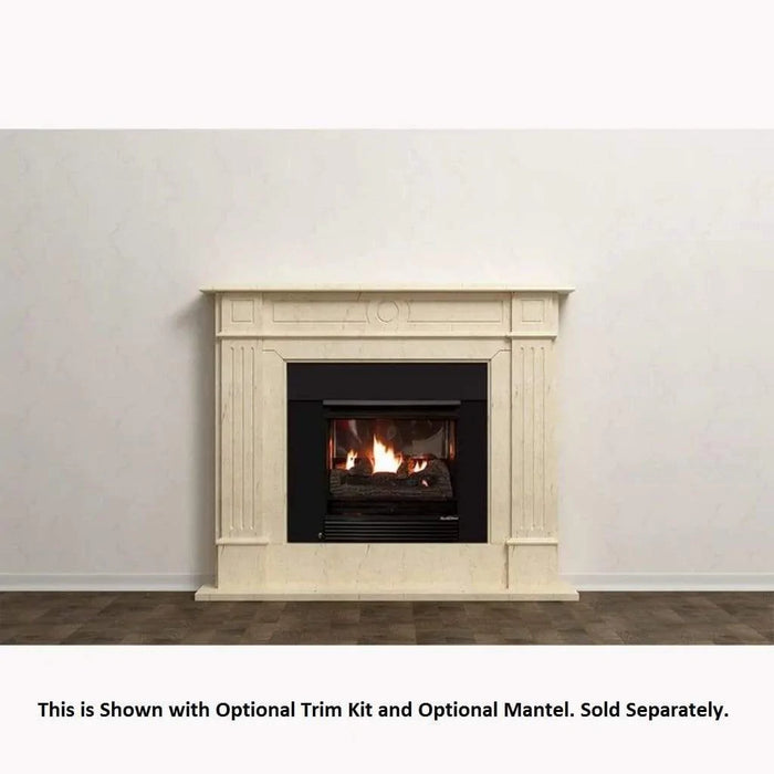 Buck Stove Model 32 Vent Free Gas Stove - NV 323