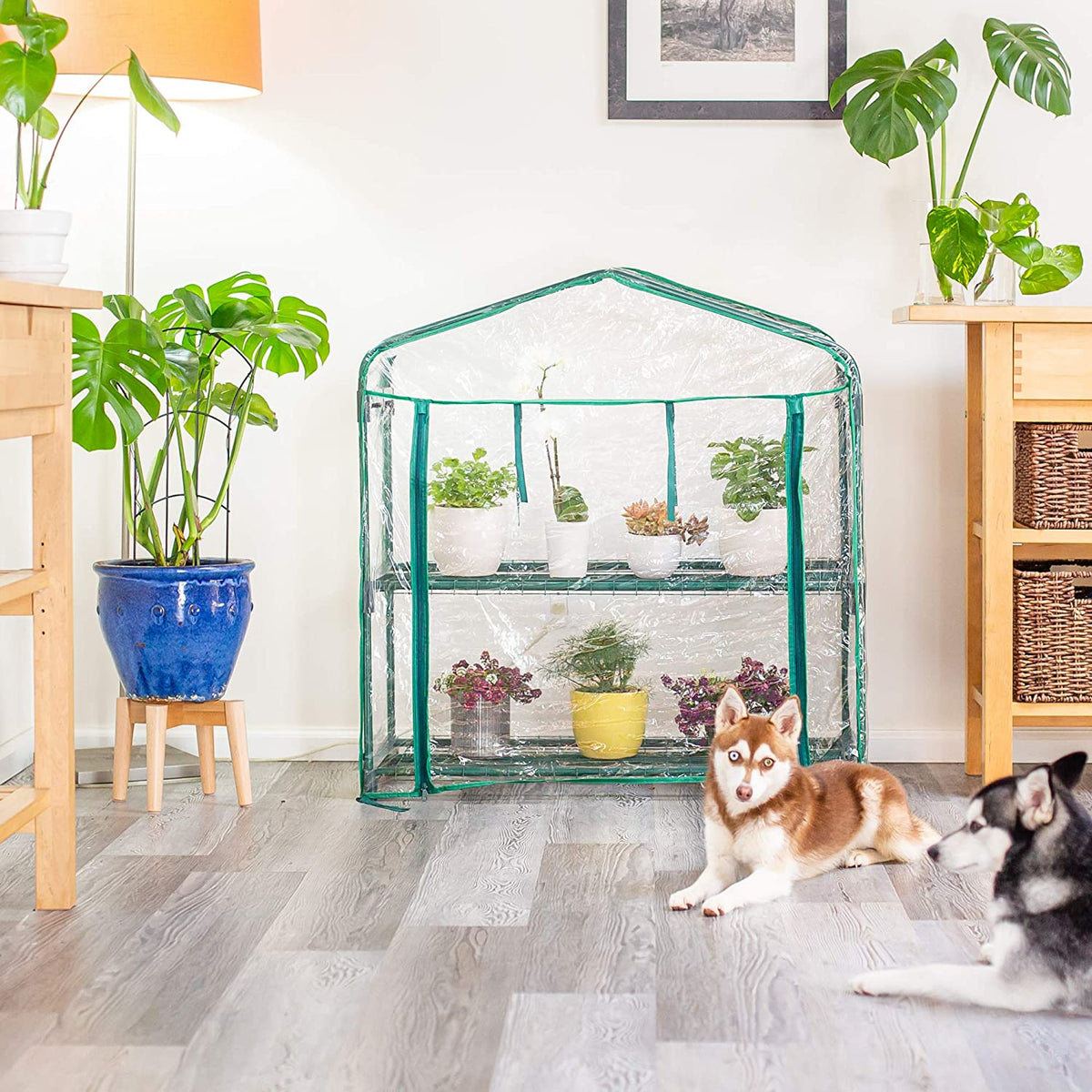 mini greenhouse for indoor plants Indoor Outdoor Small Green House DIY Mini