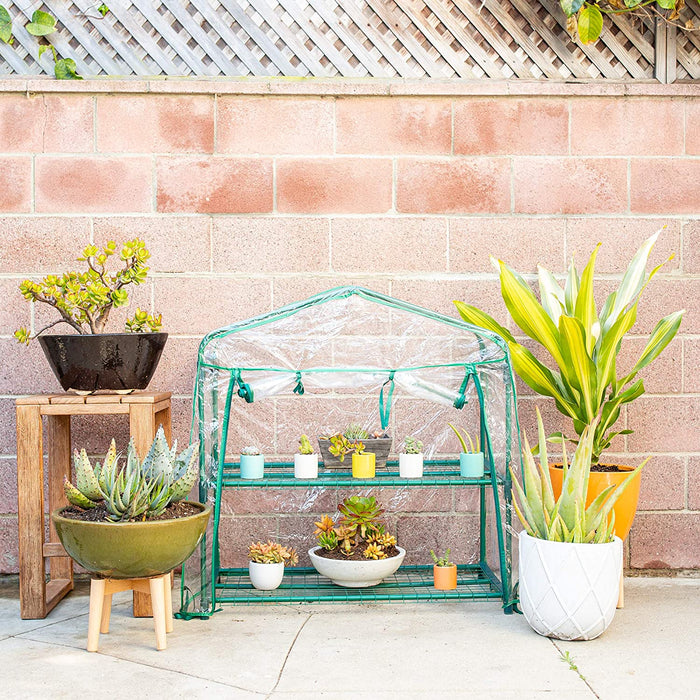 small greenhouse for indoor plants Indoor Outdoor Small Green House DIY Mini