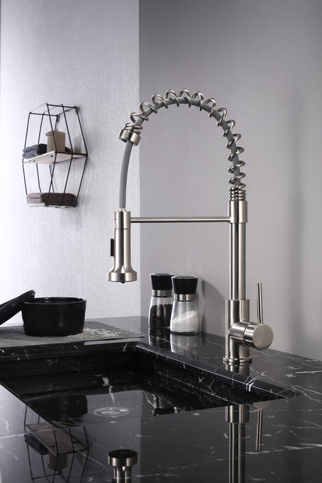 Lexora Lanuvio Brass Kitchen Faucet w/ Pull Out Sprayer - Brushed Nickel LKFS6011BN