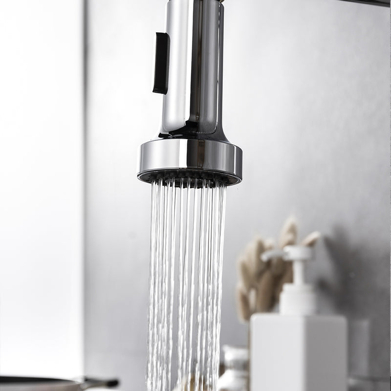 Lexora Lanuvio Brass Kitchen Faucet w/ Pull Out Sprayer - Chrome LKFS6011CH