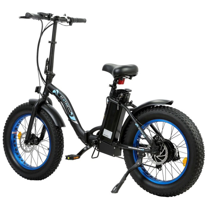 UL Certified-Ecotric 20inch black Portable and folding fat bike model Dolphin