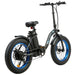 UL Certified-Ecotric 20inch black Portable and folding fat bike model Dolphin