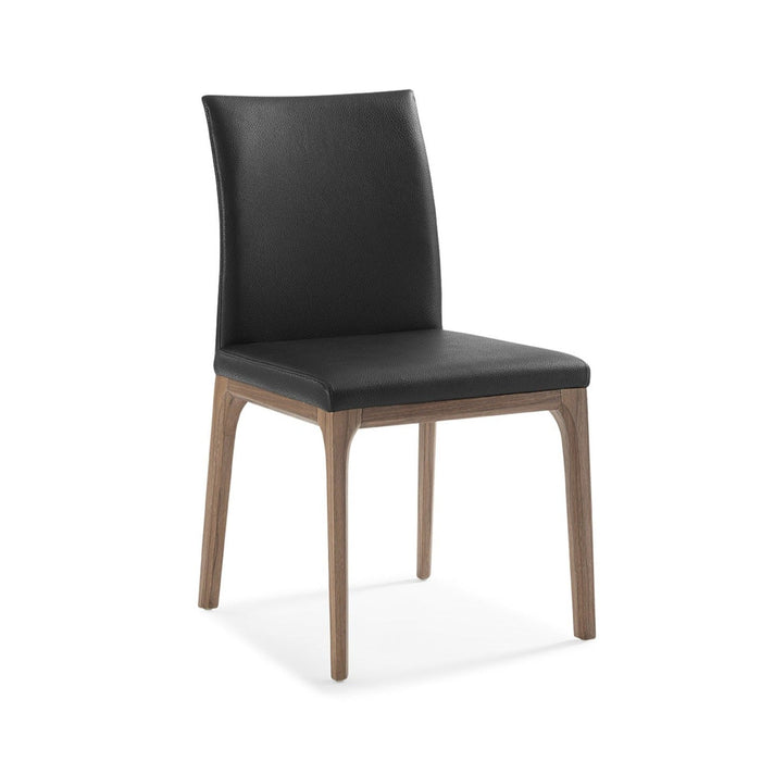 Whiteline Mod - Stella Dining Chair DC1454 - PrimeFair