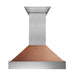 ZLINE DuraSnow Stainless Steel Range Hood with Hand-Hammered Copper Shell