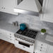 ZLINE DuraSnow Stainless Steel Range Hood with White Matte Shell 