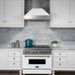 ZLINE DuraSnow Stainless Steel Range Hood with White Matte Shell 