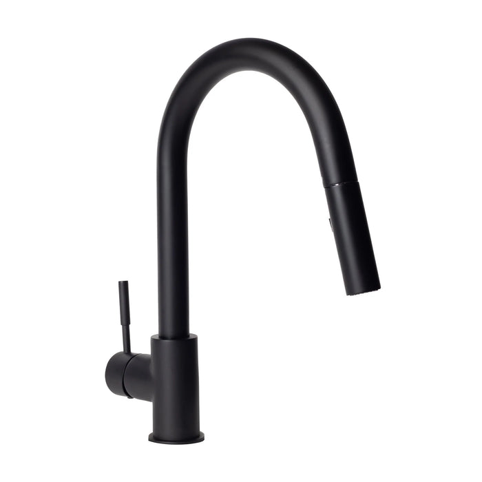 ZLINE Gemini Kitchen Faucet